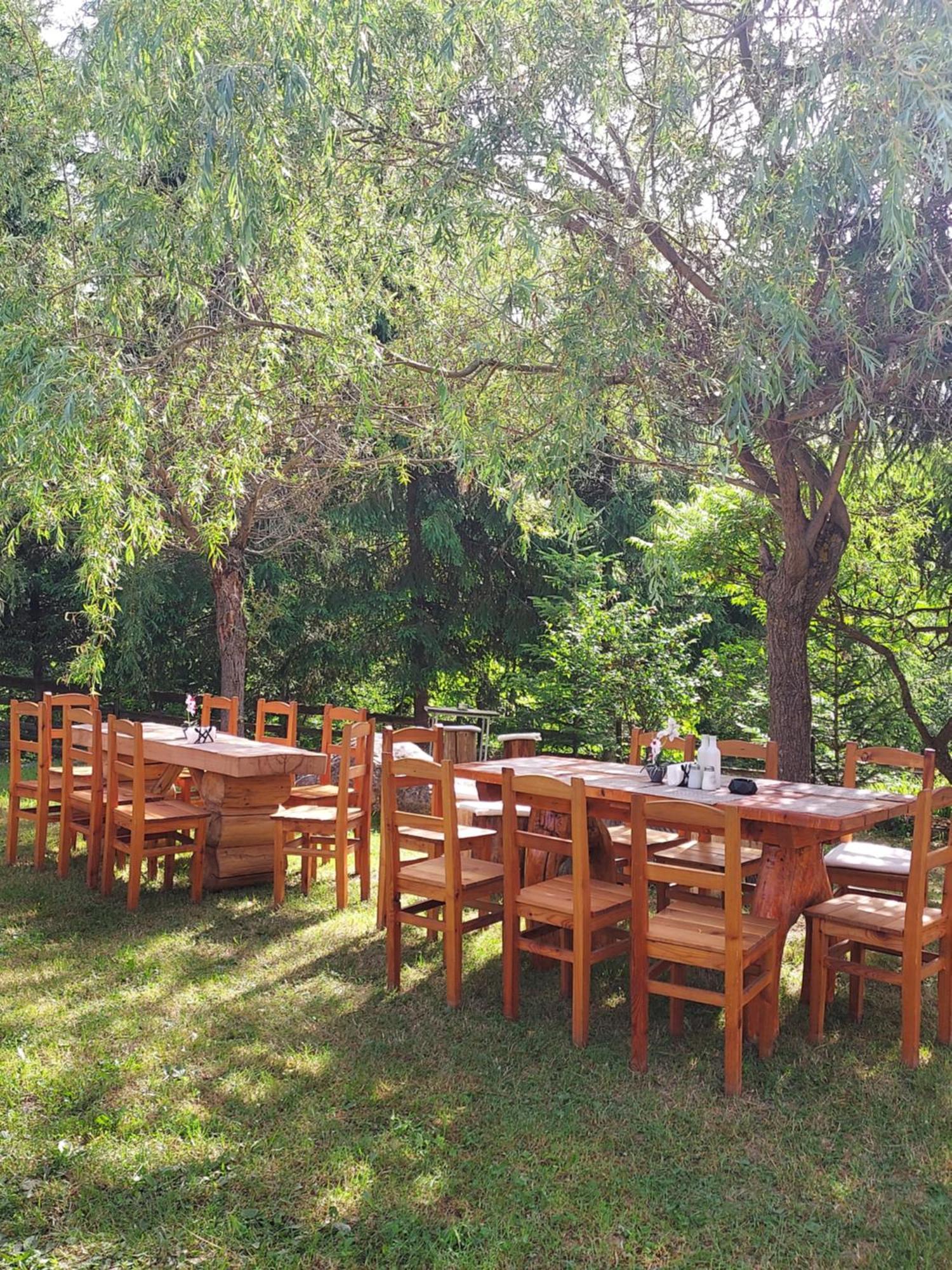 Pensiunea La Taverna Trăisteni Buitenkant foto