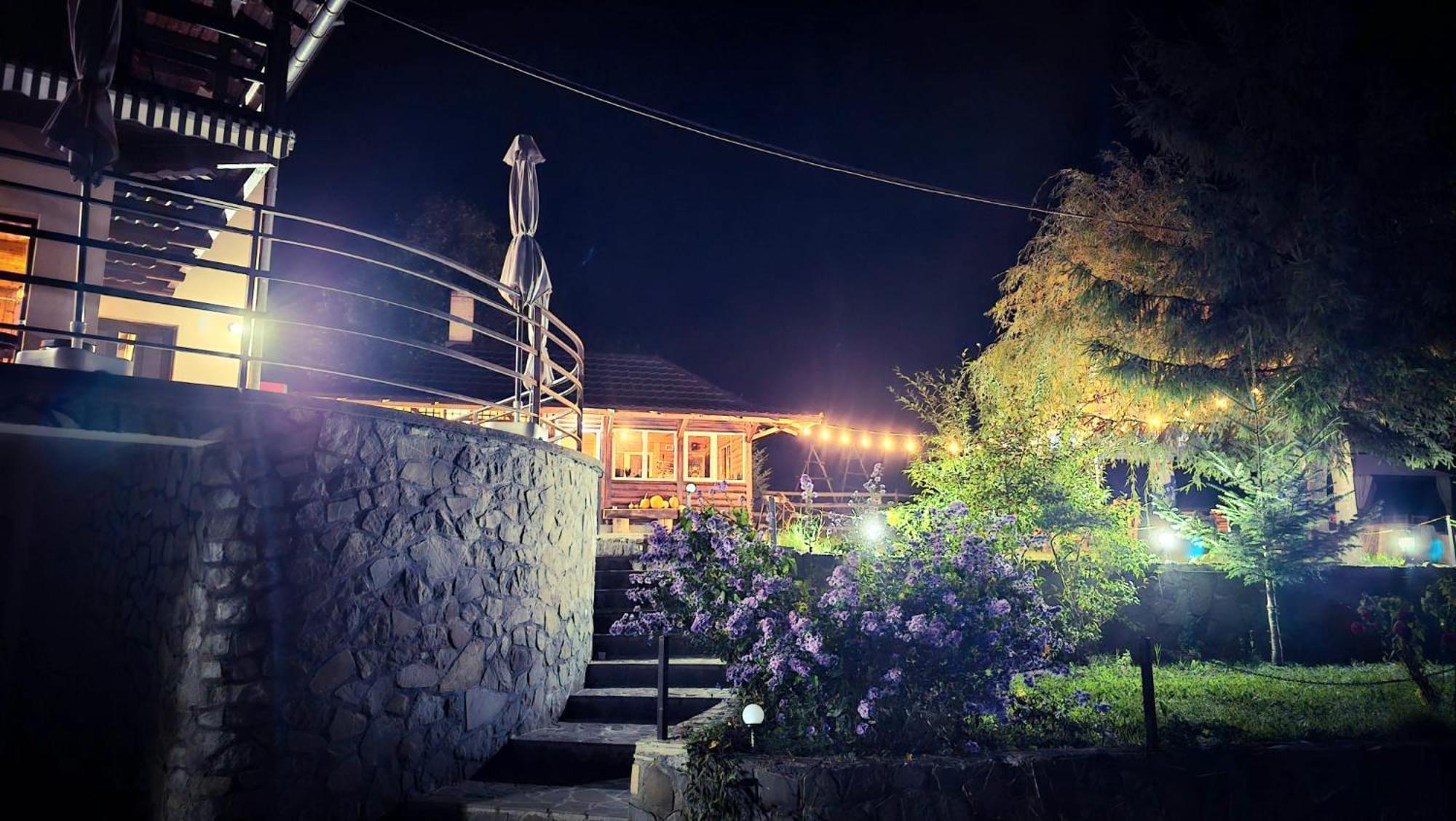 Pensiunea La Taverna Trăisteni Buitenkant foto