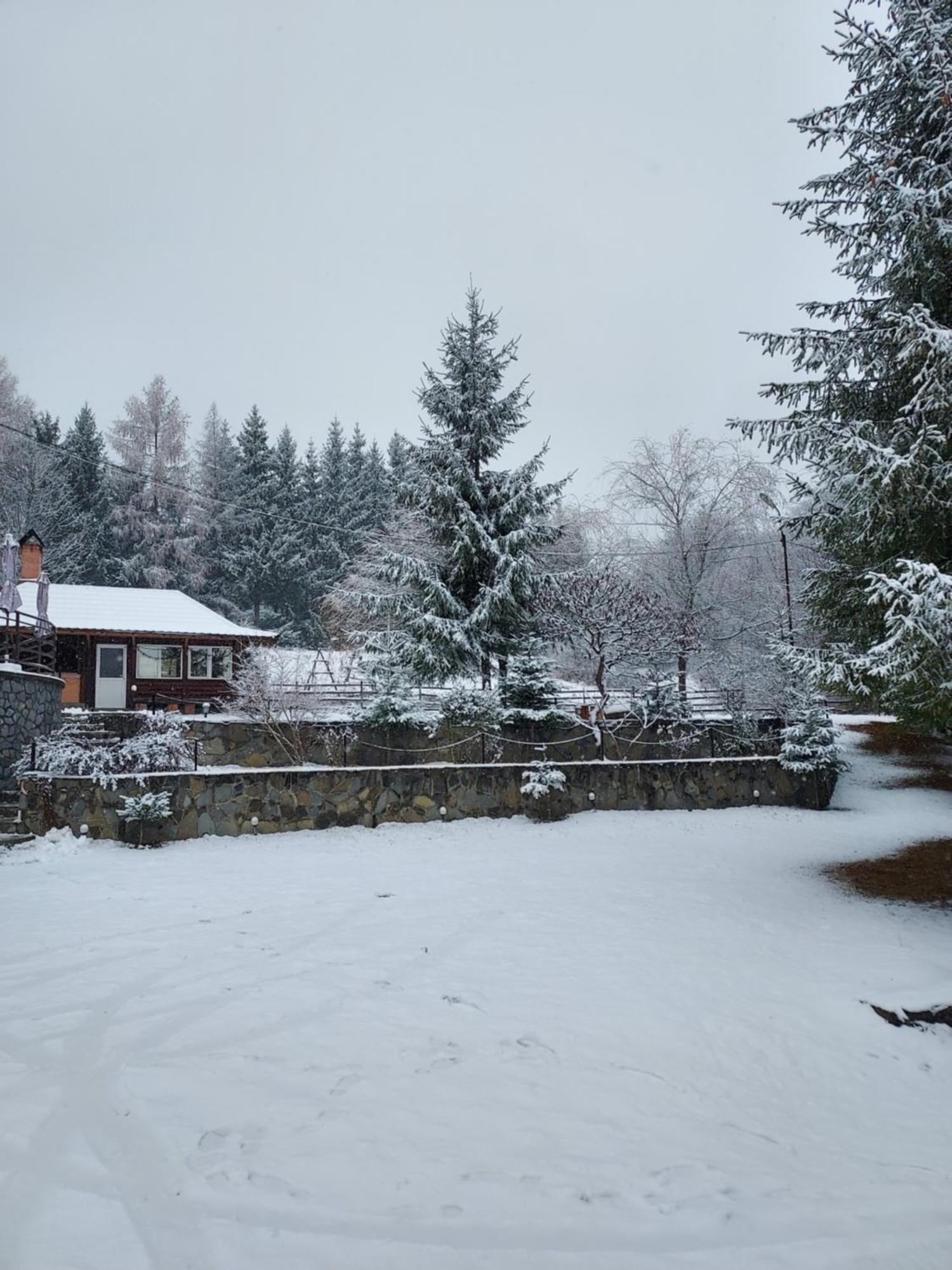 Pensiunea La Taverna Trăisteni Buitenkant foto